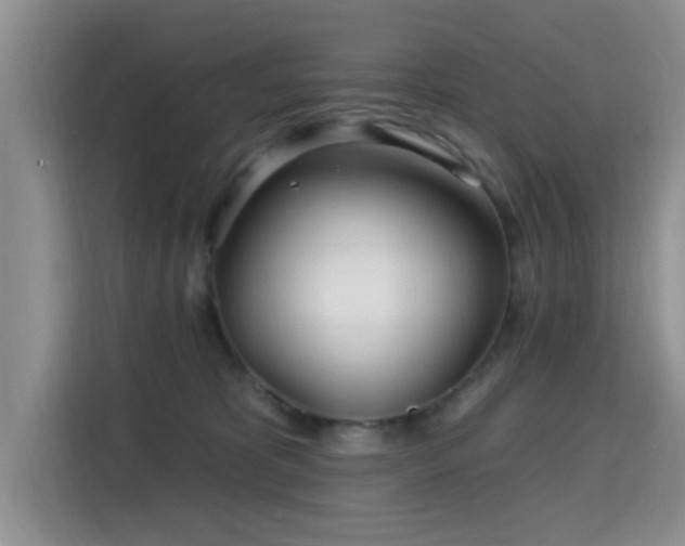 X0000115690325200911191119