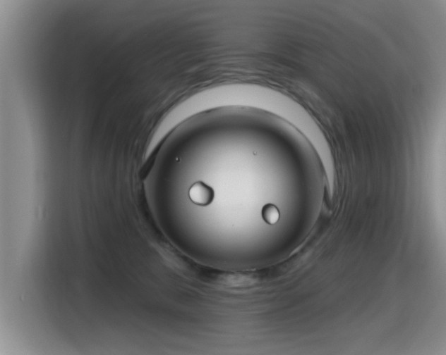 X0000115690327200911191119