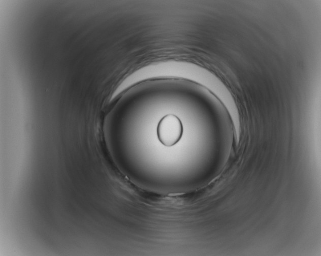 X0000115690328200911191119