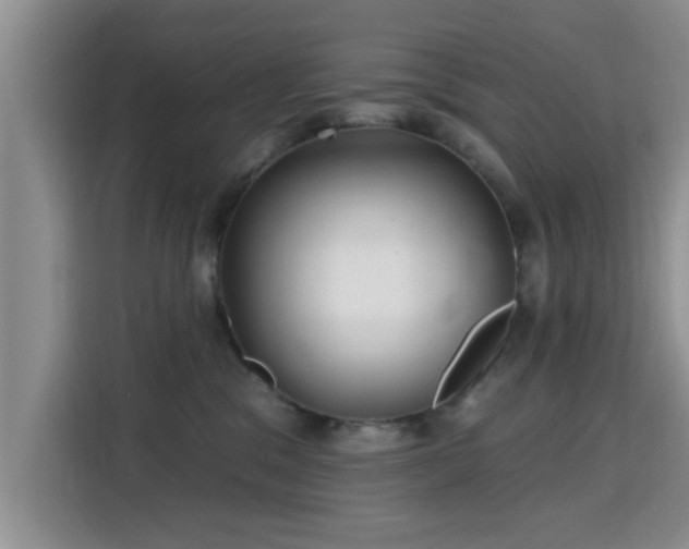 X0000115690329200911191119