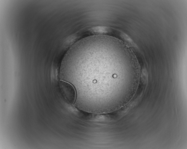 X0000115690330200911191119