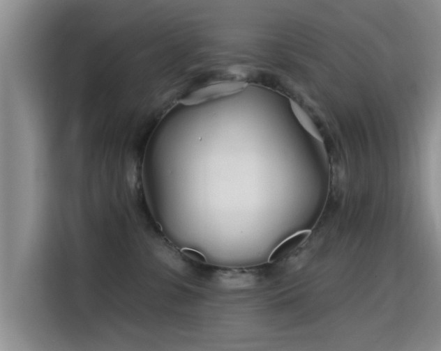 X0000115690331200911191119