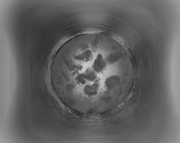 X0000115690337200911191118