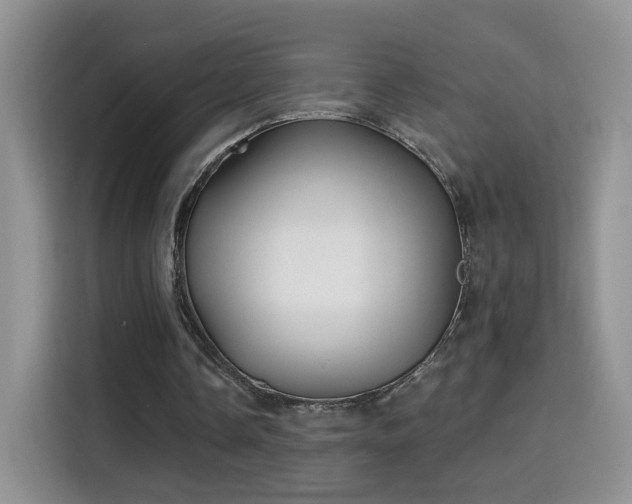 X0000115690338200911191118