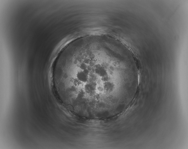 X0000115690339200911191118