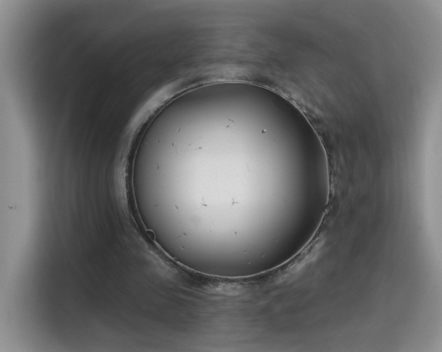 X0000115690341200911191118