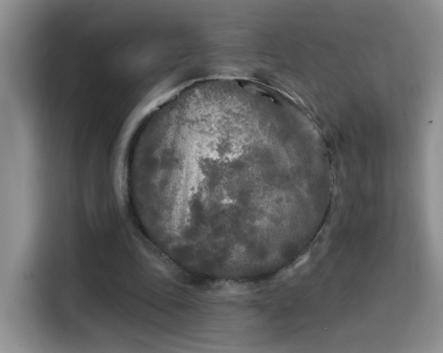 X0000115690343200911191118