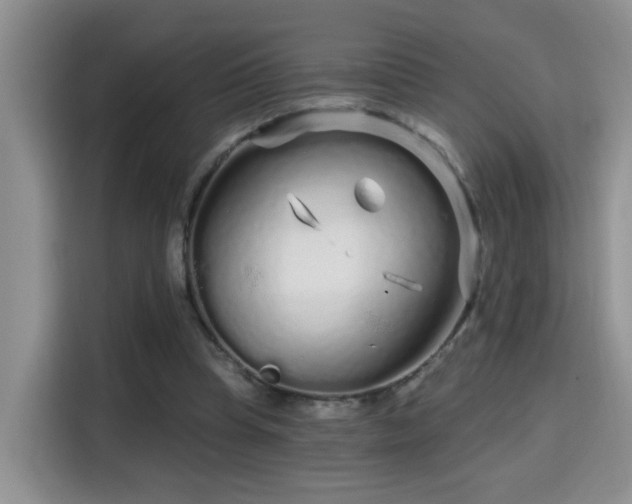 X0000115690345200911191118