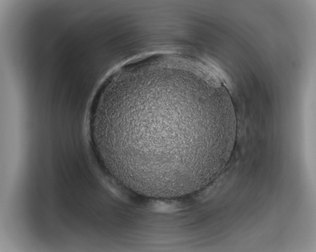 X0000115690346200911191118