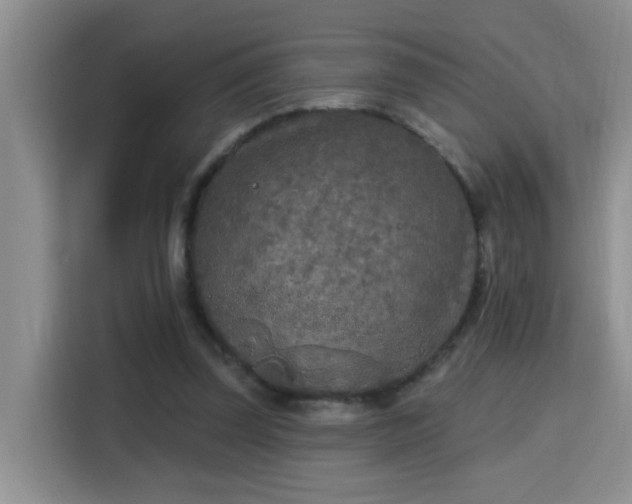 X0000115690347200911191118