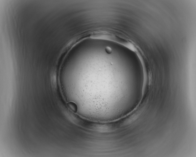 X0000115690349200911191118