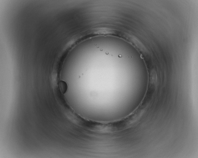 X0000115690351200911191118