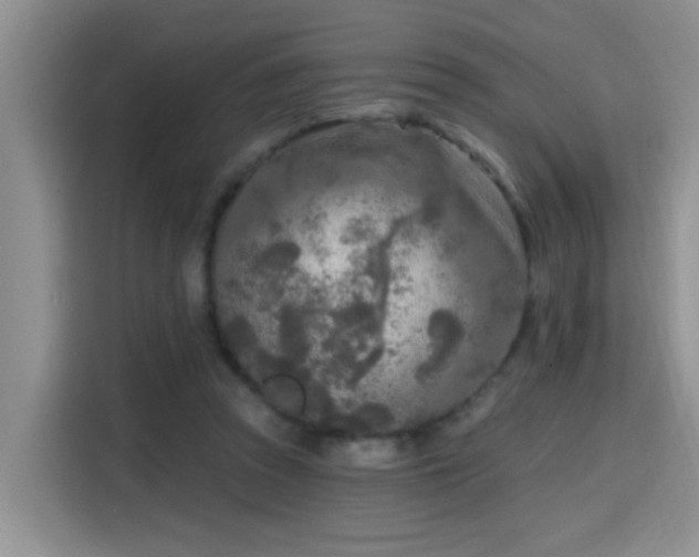 X0000115690353200911191118