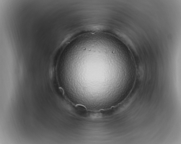 X0000115690355200911191118