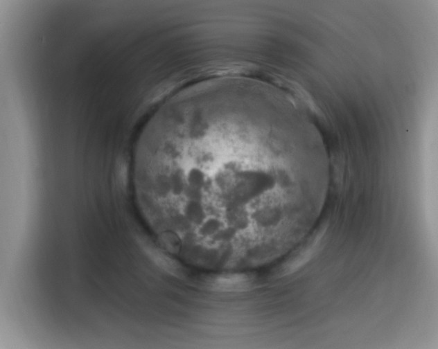 X0000115690357200911191118