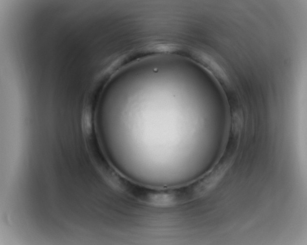 X0000115690358200911191118