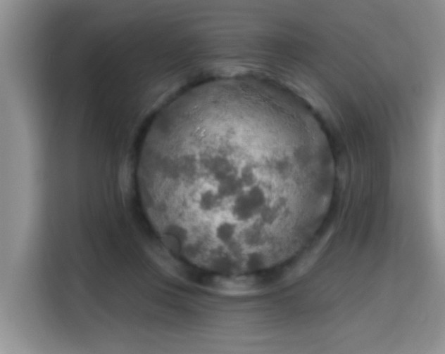 X0000115690359200911191118