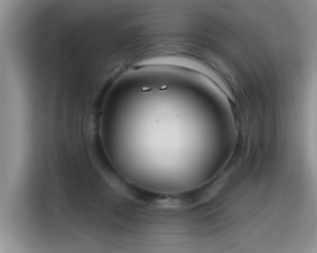 X0000115690362200911191118