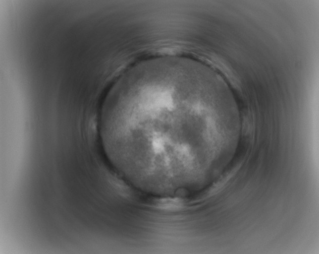 X0000115690363200911191118