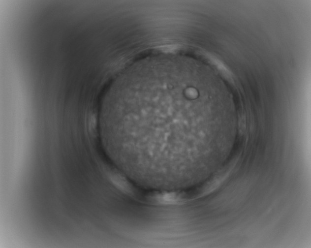 X0000115690365200911191119