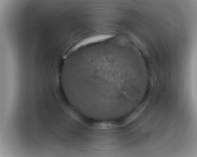 X0000115690366200911191119