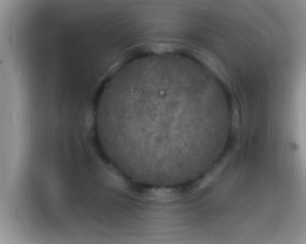 X0000115690367200911191119