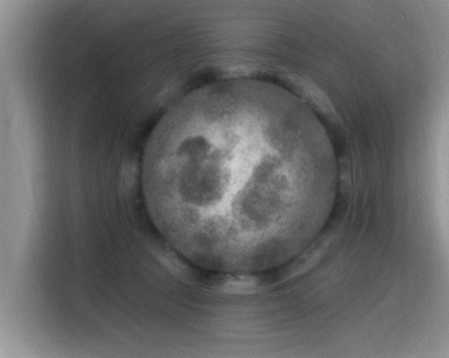 X0000115690369200911191119