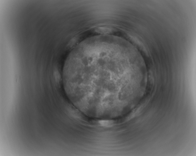 X0000115690371200911191119