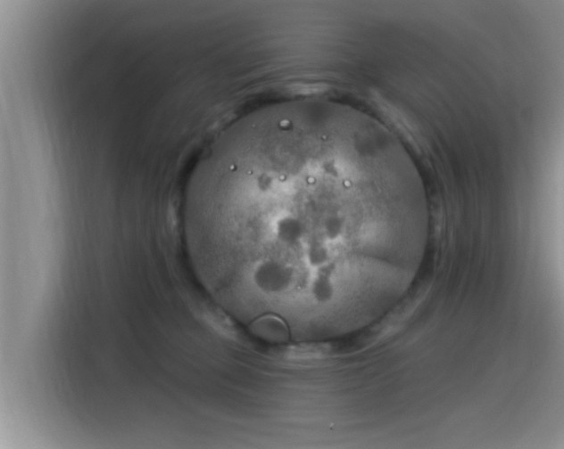 X0000115690373200911191119