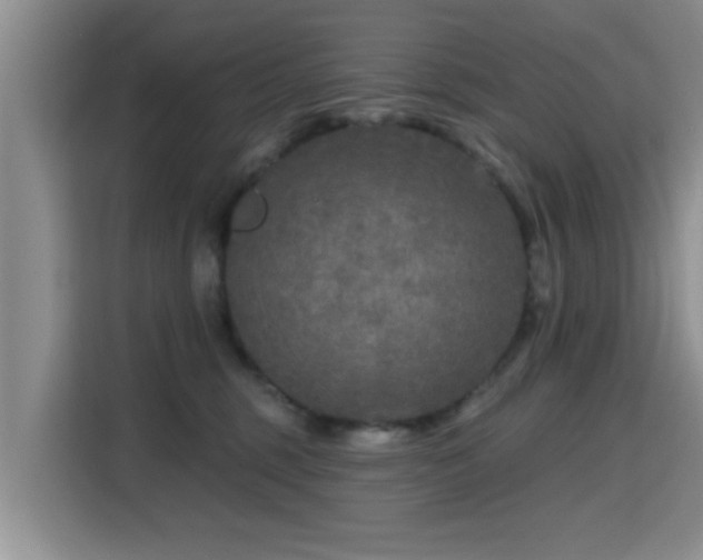 X0000115690375200911191119