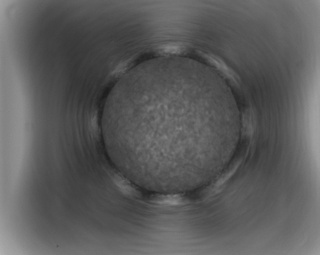 X0000115690377200911191119