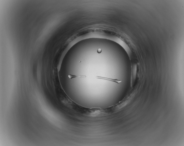 X0000115690382200911191119