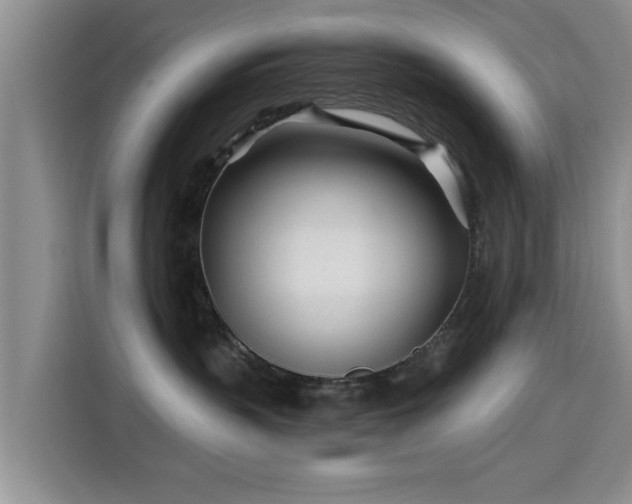 X0000115690383200911191119