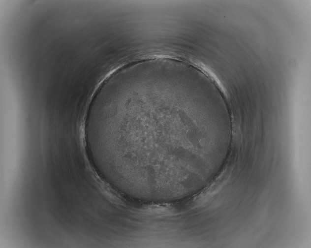 X0000115690386200911191118