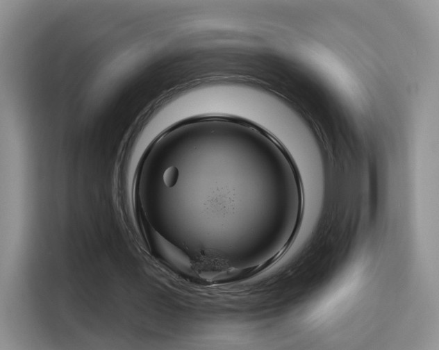 X0000115690387200911191118