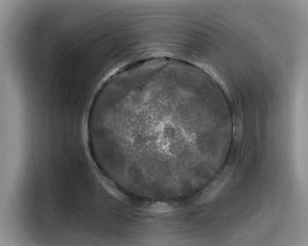 X0000115690390200911191118