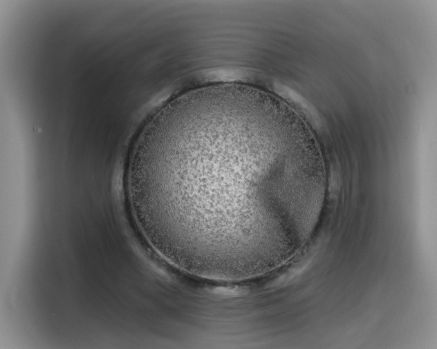 X0000115690394200911191118