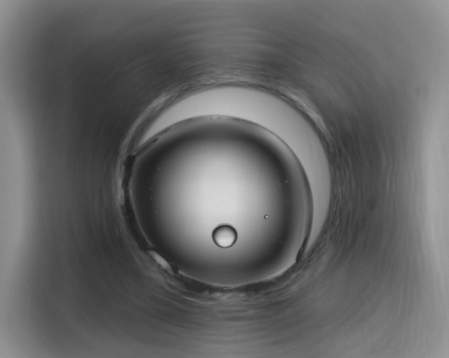 X0000115690395200911191118