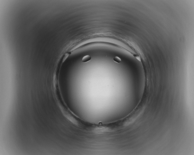 X0000115690397200911191118