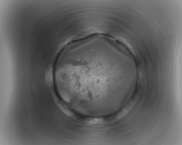 X0000115690398200911191118