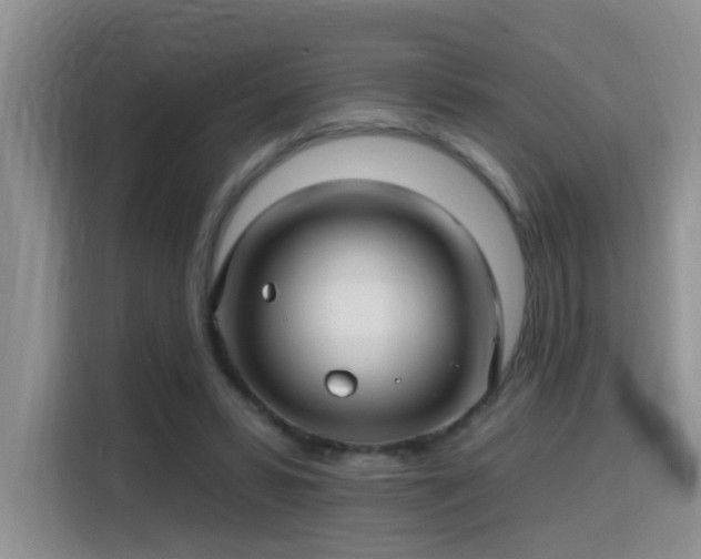 X0000115690399200911191118