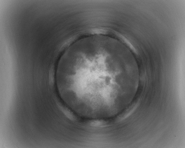 X0000115690402200911191118