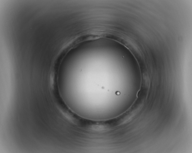 X0000115690404200911191118