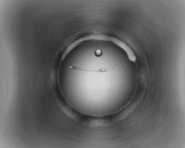 X0000115690408200911191118