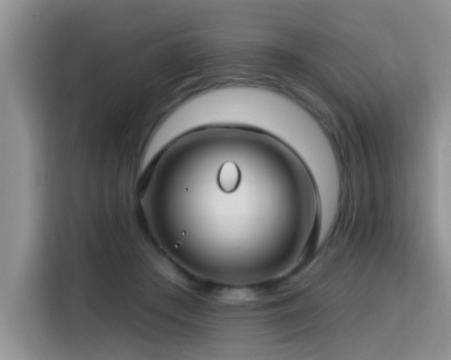 X0000115690409200911191118