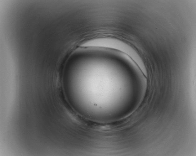 X0000115690411200911191118