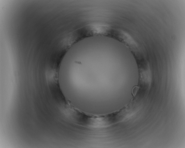 X0000115690419200911191118