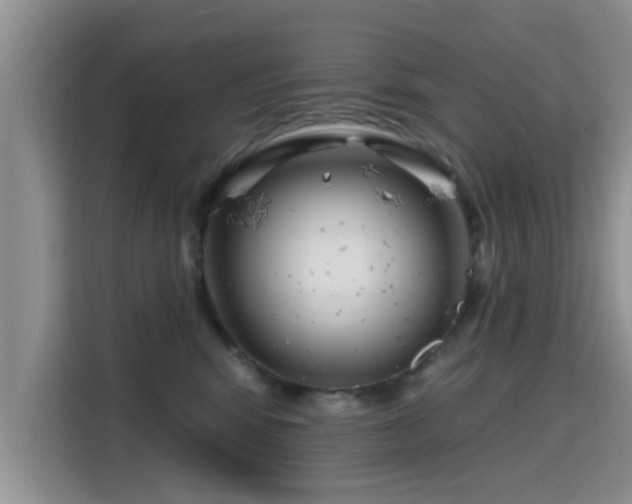 X0000115690424200911191118