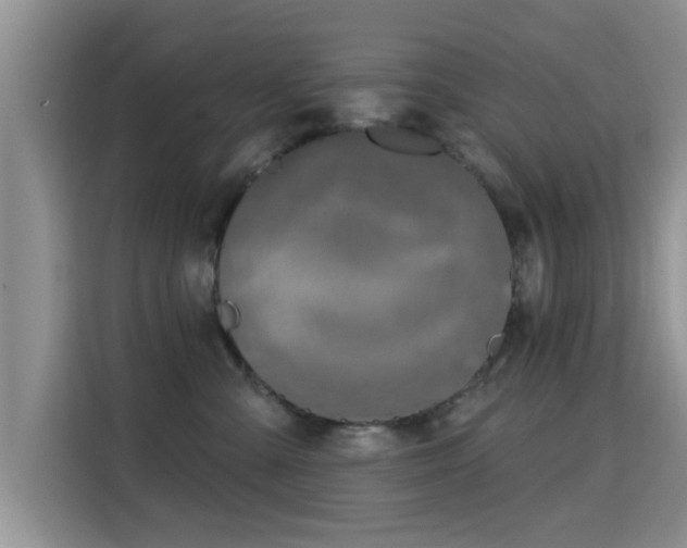 X0000115690427200911191118