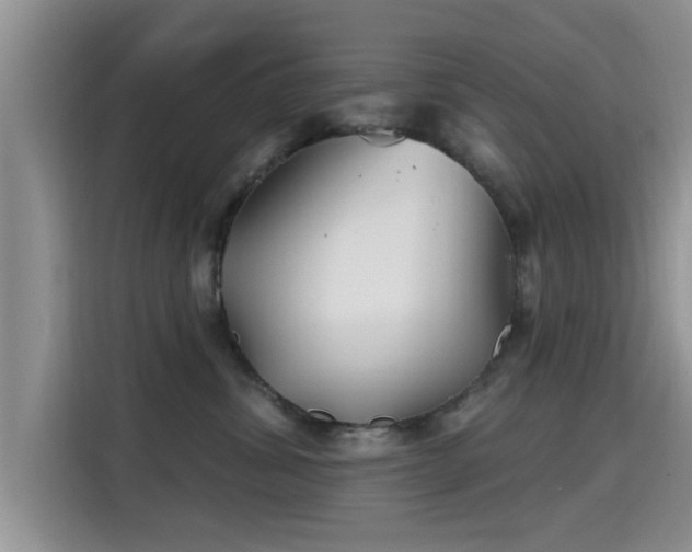 X0000115690428200911191118